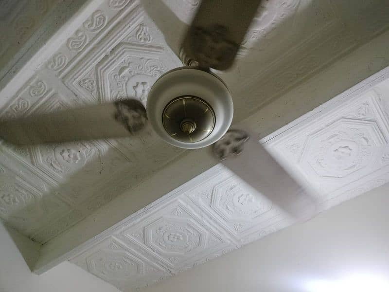 celling fan 0