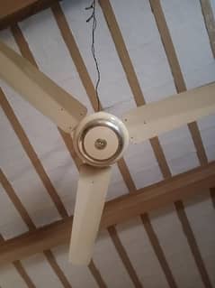 Ceiling Fan for sale