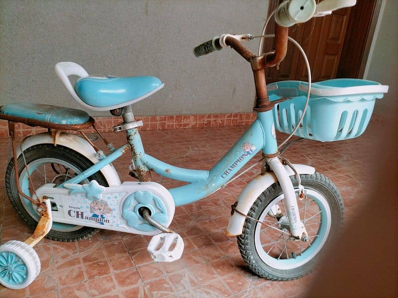 Bicycle for baby girls 6