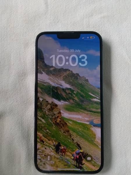 iPhone 13 Pro Max 128 Non PTA 3