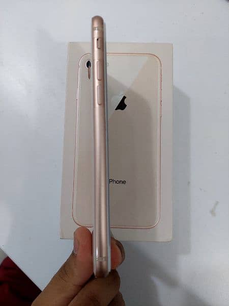 iphone 8 pta approved  64gb 3