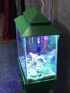 fish aquarium good condition