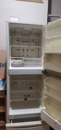 Japanese Fridge