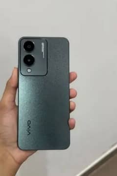 vivo