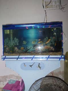 aquarium 4ft in good condition