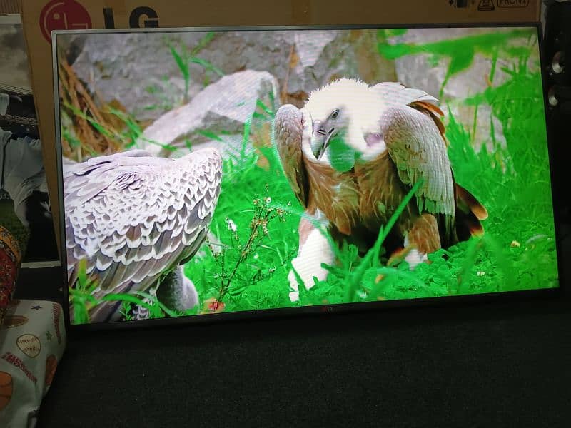 LG 55" FULL HD 3D smart led tv 10