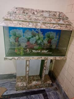 Fish aquarium