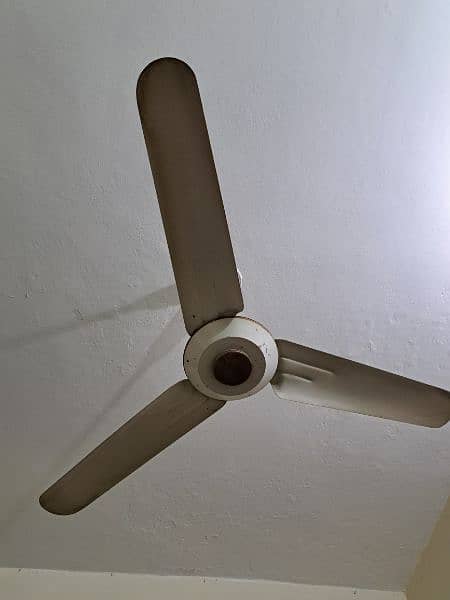 Affordable Ceiling fan 0