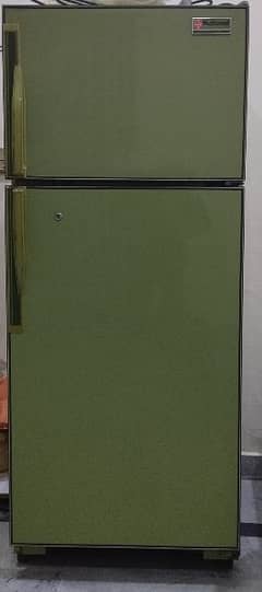 national frige dble door