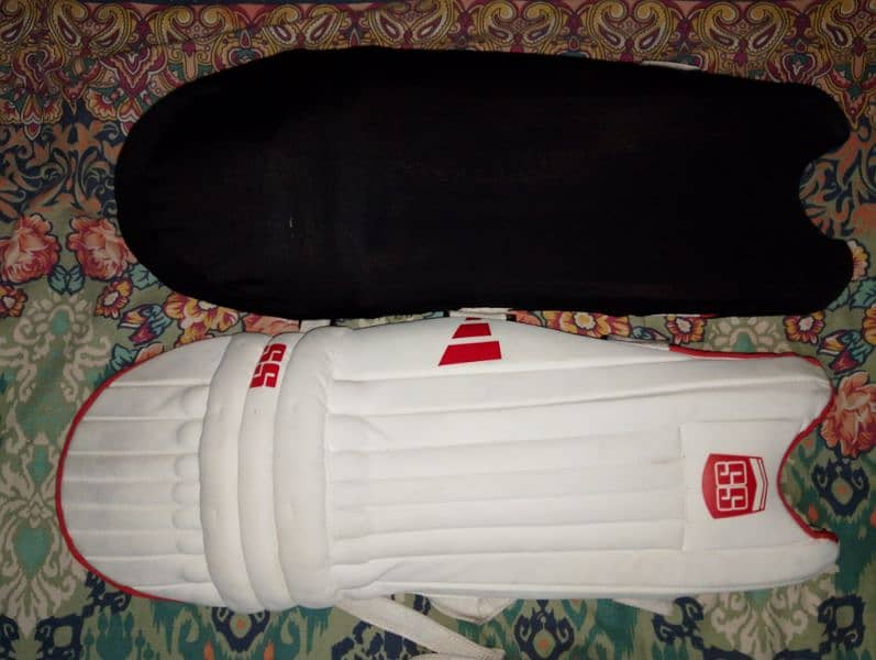 Hard ball cricket kit 1