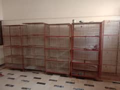 Cage / Hens Cages / Bird Cage / Pinjra / Cages for Sale / Parrot Cage