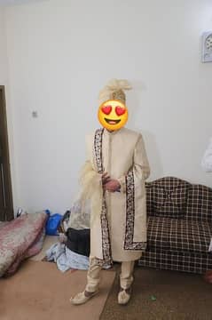 Dulha Shearwani