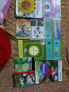 Beaconhouse grade 6 books