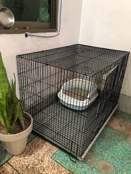 cat cage/ birds cage 2