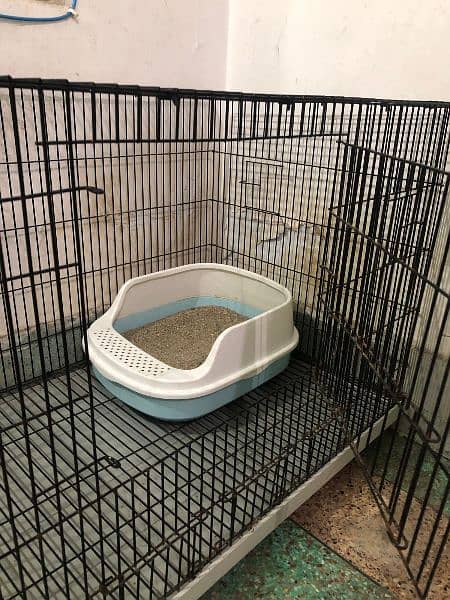 cat cage/ birds cage 4