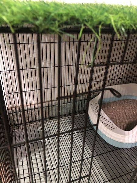 cat cage/ birds cage 5