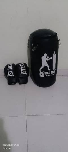 Gold Star New Punching Bag And Gloves New Condition