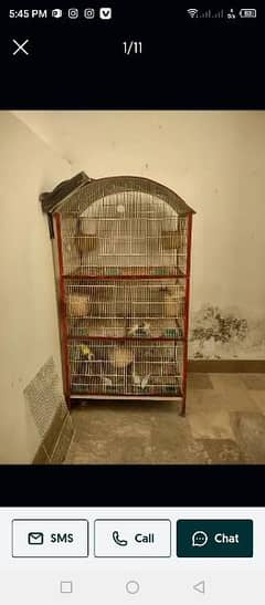 8 finches 9 Australian parrot with cage