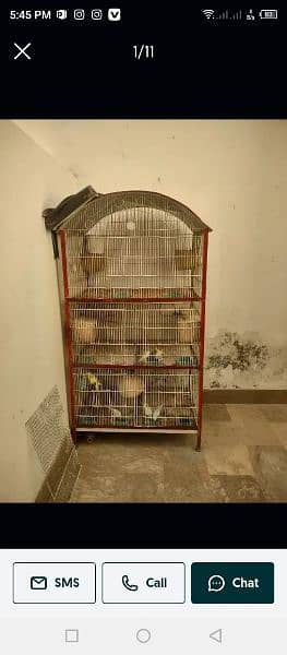 8 finches 9 Australian parrot with cage 0