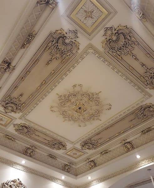 Roof & Wall ceilings 13