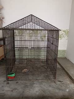 Raw parrots cage