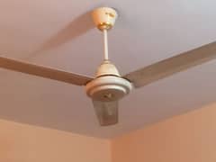 ceiling fan available working 100%