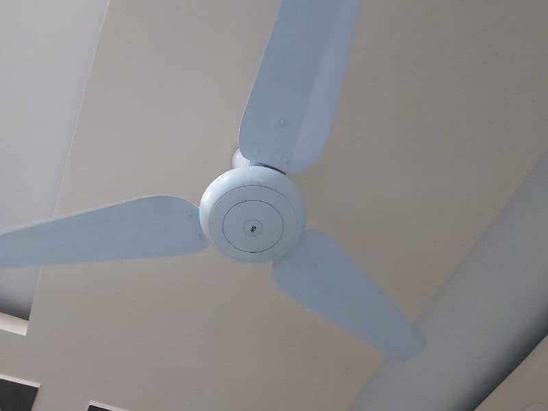 SK normal fans for sale 1