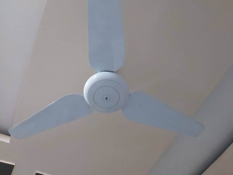 SK normal fans for sale 5