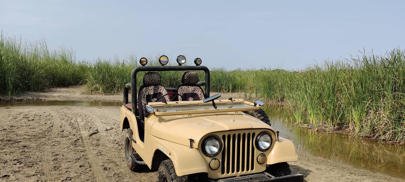 Jeep Cj 5 1979 3