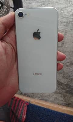 iPhone 8  256 GB