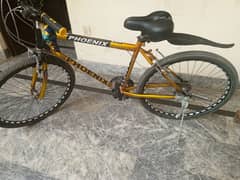 Phoenix Cycle For Sale