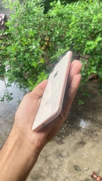 iphone 8plus 1