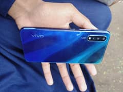 vivo