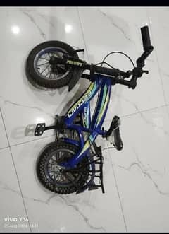 16 inch cycle