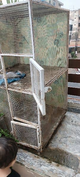 big size cage for all animals 3