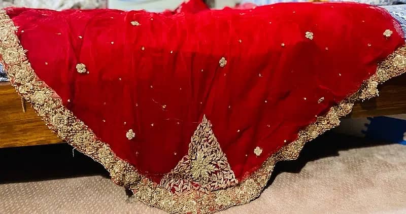 Bridal dress/wedding dress/ bridal lehnga/designer bridal dress 12