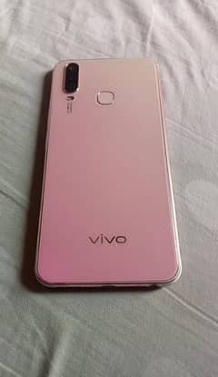 Vivo