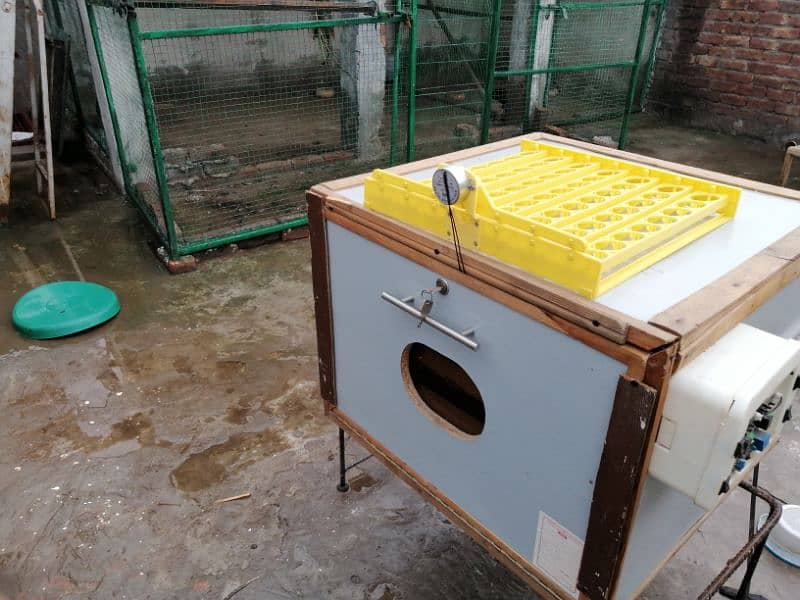 200 cpasti eggs incubator 03061704017 whatsaap 9