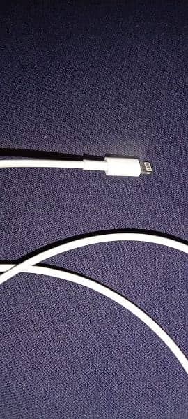 iphone charger 100 original 2