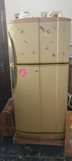 Pel medium size fridge