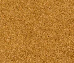 Rust color Carpet in excellent condition in throw away price