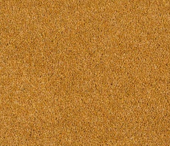 Rust color Carpet in excellent condition in throw away price 0