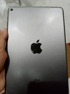 Ipad mini 5