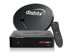 dish