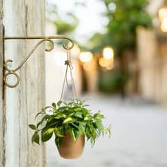 Plant hanging bracket ànd stand