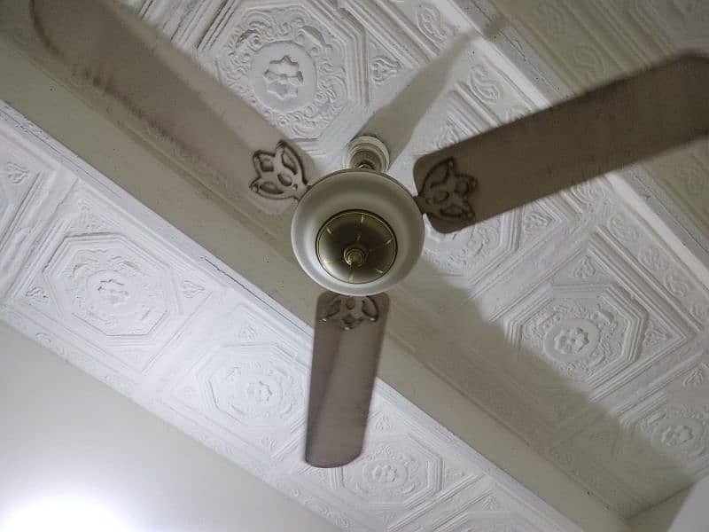 BELVIN CEILING FAN 3