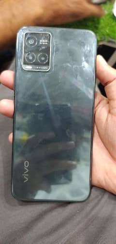 vivo