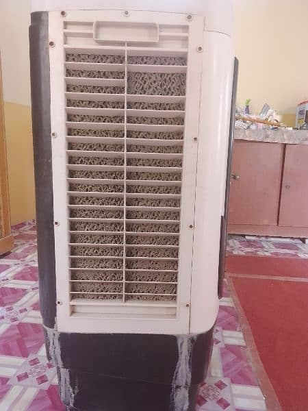 air cooler 1