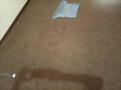 Carpet with foam for sale