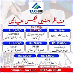 Income Tax Return Consultant, Sale Tax, FBR Filer, NTN, GST, PSEB, PSW